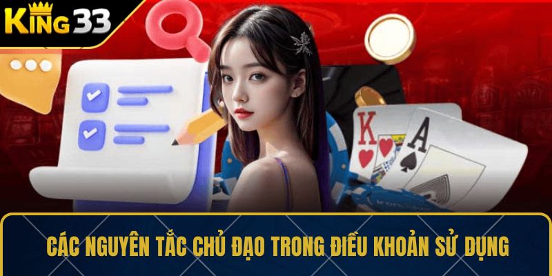 Các nguyên tắc chủ đạo trong điều khoản sử dụng