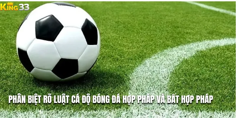 Luật cá độ King33 giúp chơi an toàn và hợp pháp