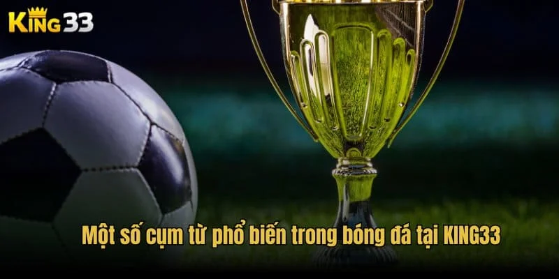 Một số cụm từ phổ biến trong bóng đá tại KING33