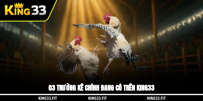 03 trường kê chính đang có trên King33