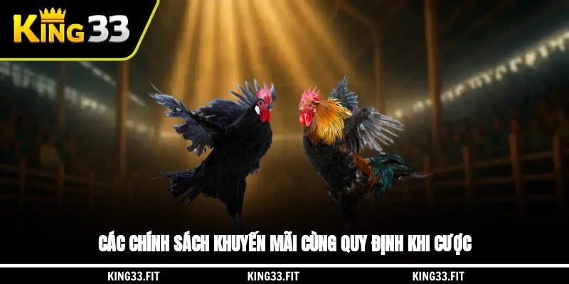 Các chính sách khuyến mãi cùng quy định khi cược
