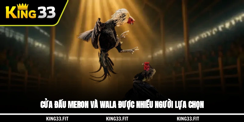 Cửa đấu Meron và Wala được nhiều người lựa chọn