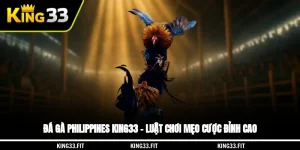 Đá Gà Philippines King33 – Luật Chơi, Mẹo Cược Đỉnh Cao