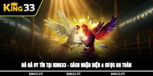 Đá Gà Uy Tín Tại King33 – Cách Nhận Diện & Cược An Toàn