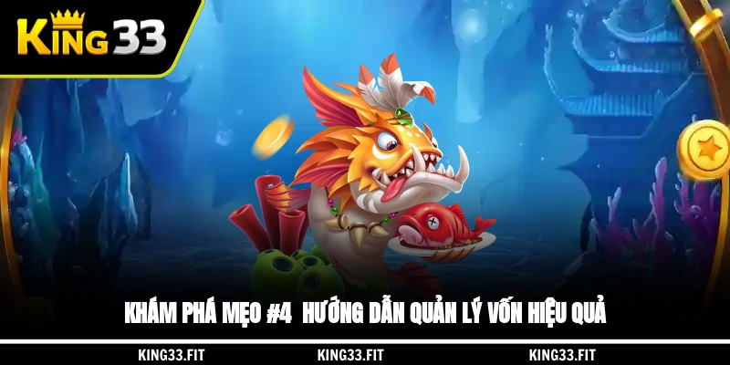Khám phá mẹo #4 - Hướng dẫn quản lý vốn hiệu quả