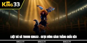 Luật Đá Gà Thomo King33 – Cược Đúng Cách, Thắng Chắc Kèo
