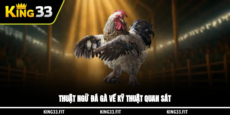 Thuật ngữ đá gà về kỹ thuật quan sát
